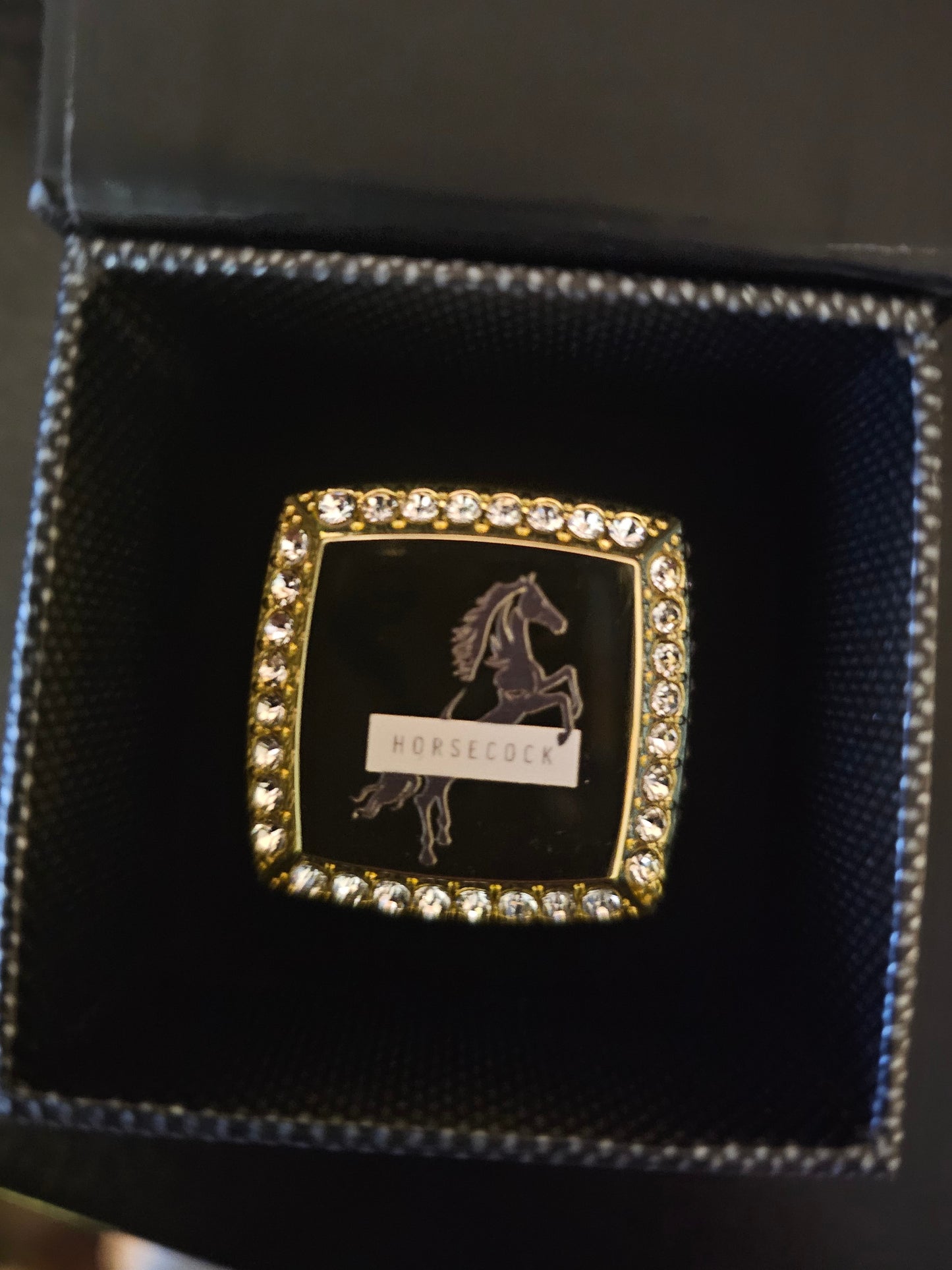 Horsecock Championship Ring